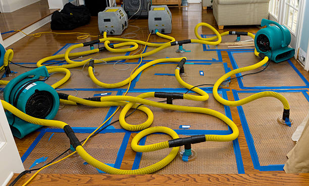 Professional Storm Water Damage Restoration technician working in Hebron, IL